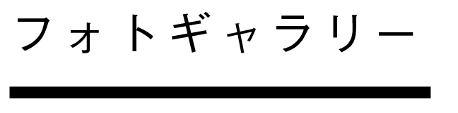 フォトギャラリー