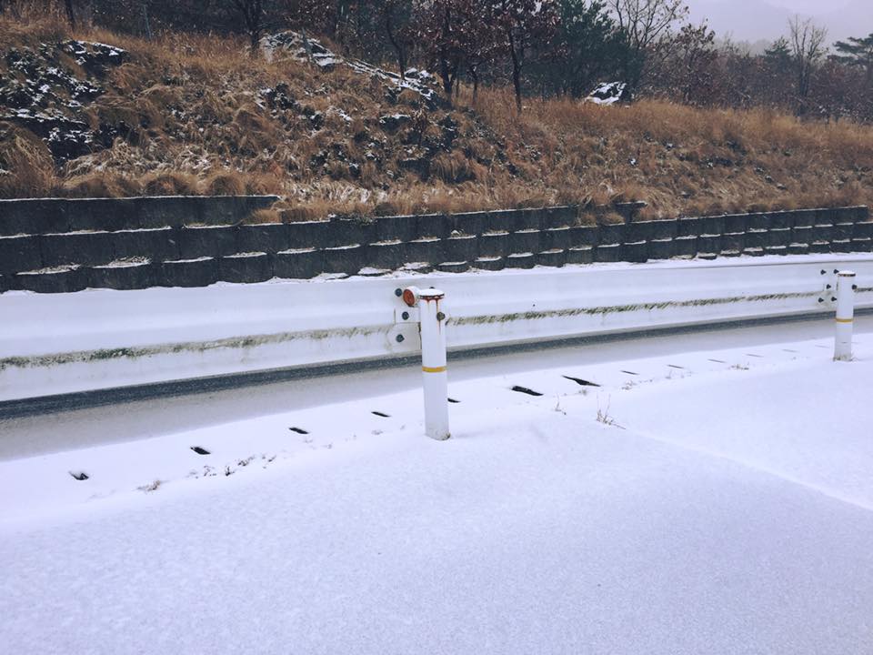 雪にご注意